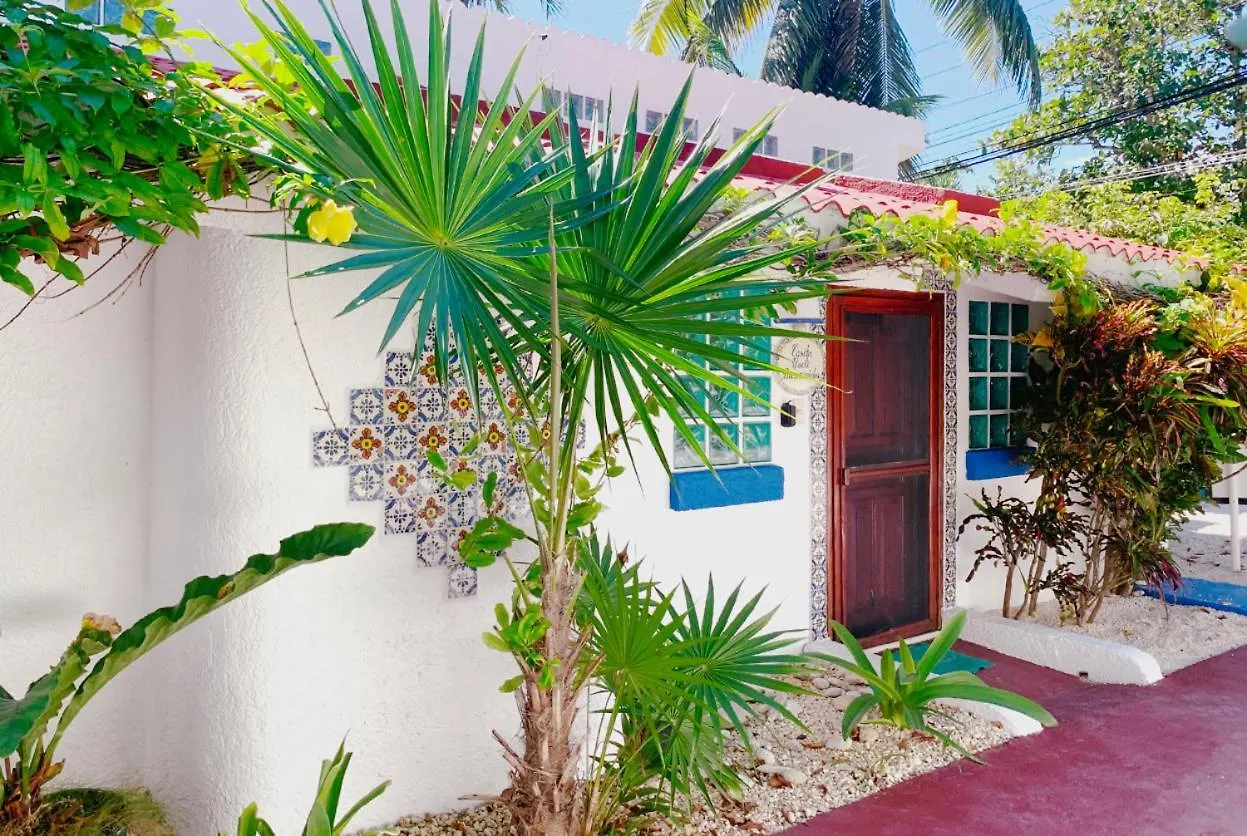 Beautiful Beach Studio In Akumal, Snorkeling Paradise - Wifi, Ac, Parking 0*, Akumal Mexico