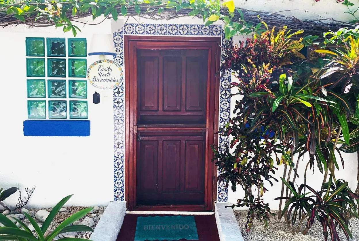 Apartment Beautiful Beach Studio In Akumal, Snorkeling Paradise - Wifi, Ac, Parking